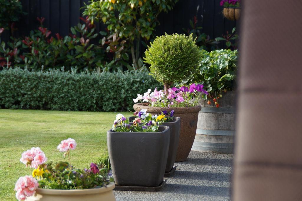 Olive House Bed And Breakfast Christchurch Exterior foto